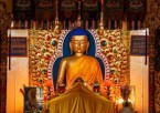 Dharamshala Sightseeing