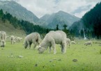 Pahalgam Day Tour – Nature’s Wonderland (90 km / 2.5–3 hrs one way)