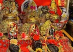 Vaishno Devi Darshan (Mata Vaishnavi)